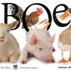 Boe!