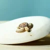 bumbu toys Baby Schildpad Bruin