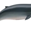 Collecta Dwergpotvis 88653