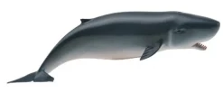 Collecta Dwergpotvis 88653