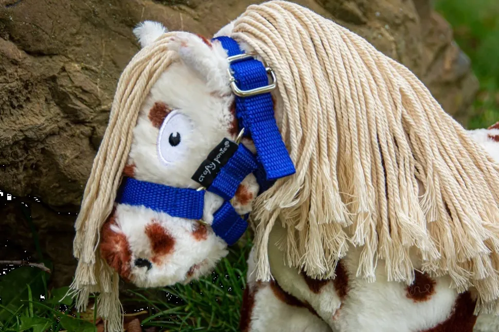 crafty ponies Halster Blauw