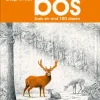 Diep in het bos