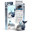 Eugy 3D Bouwpakket Groenlandse Walvis