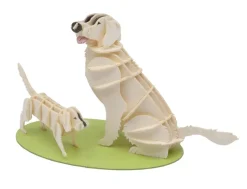 Fridolin 3D Papiermodel Hond Golden Retriever