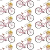 Fritsy Postkaart Fietsen