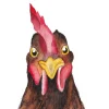 Fritsy Postkaart Kip