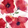 Fritsy Postkaart Klaproos Bloemen