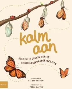 Kalm aan