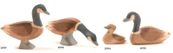 Ostheimer Gans Canadees Klein Zwemmend 22704