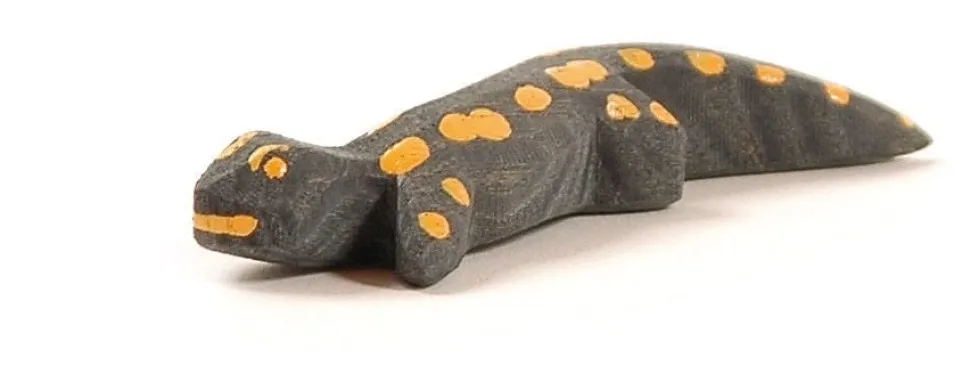 Ostheimer Salamander 1655