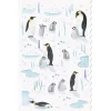 Postcard - Penguins