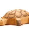 Schildpad Klein 2085