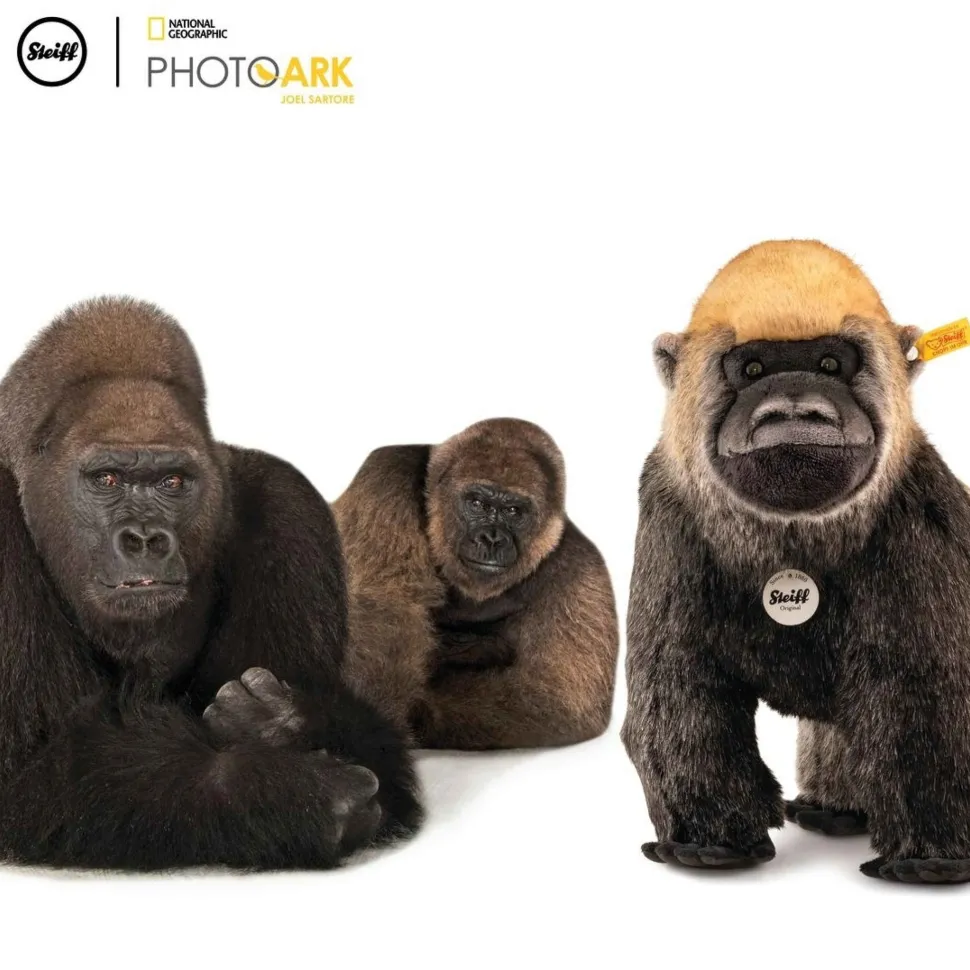 Steiff Knuffel Aap National Geograpghic Boogie Gorilla