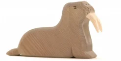 Walrus 22590