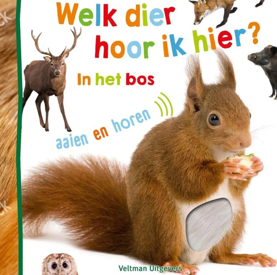 Welk dier hoor ik hier? In het bos