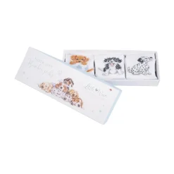 Wrendale Designs Little Paws Baby Socks Set - 0-6 Months
