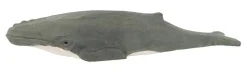 Wudimals Bultrugwalvis 40823