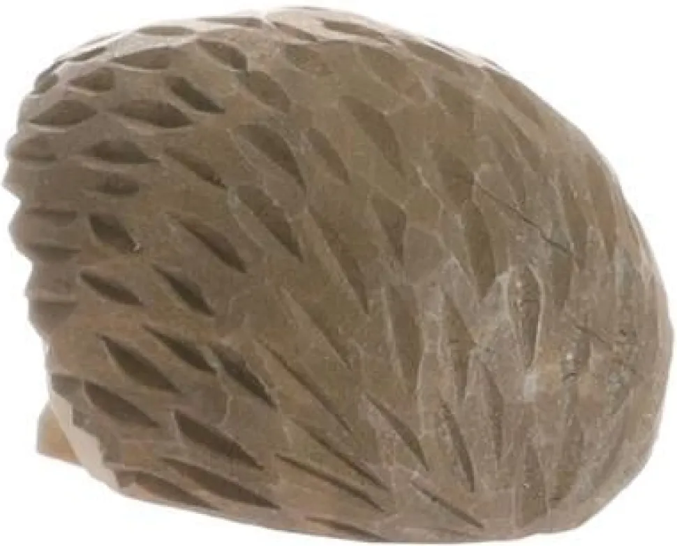 Wudimals Egel 40713